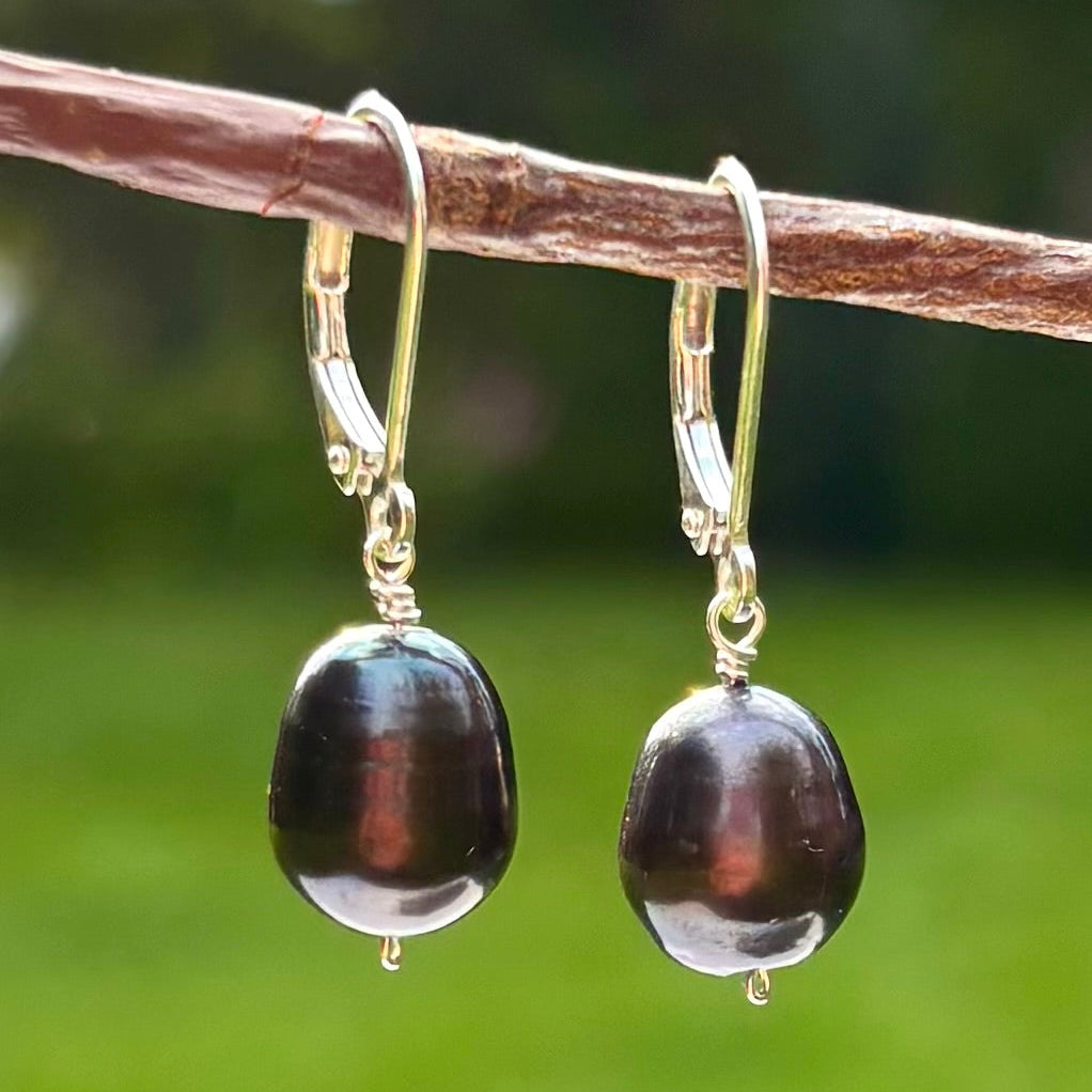 A pair of dangling earrings with irregular dark brown to black baroque pearls and gold leverback hooks, hanging from a brown branch against a blurred green outdoor background.